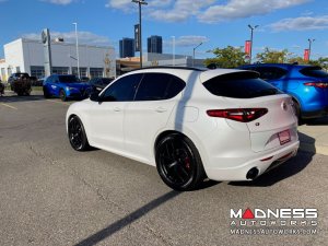 Alfa Romeo Stelvio Lowering Springs - 2.0L - MADNESS - Sport